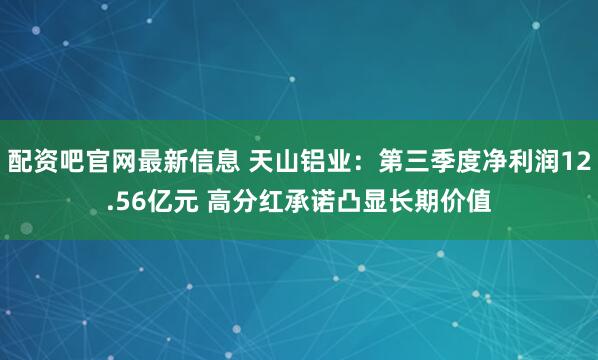 配资吧官网最新信息 天山铝业：第三季度净利润12.56亿元 高分红承诺凸显长期价值
